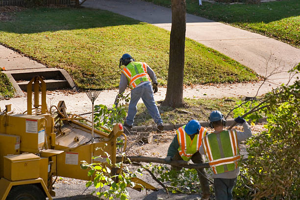 Best Lawn Watering Services  in Shelton, WA